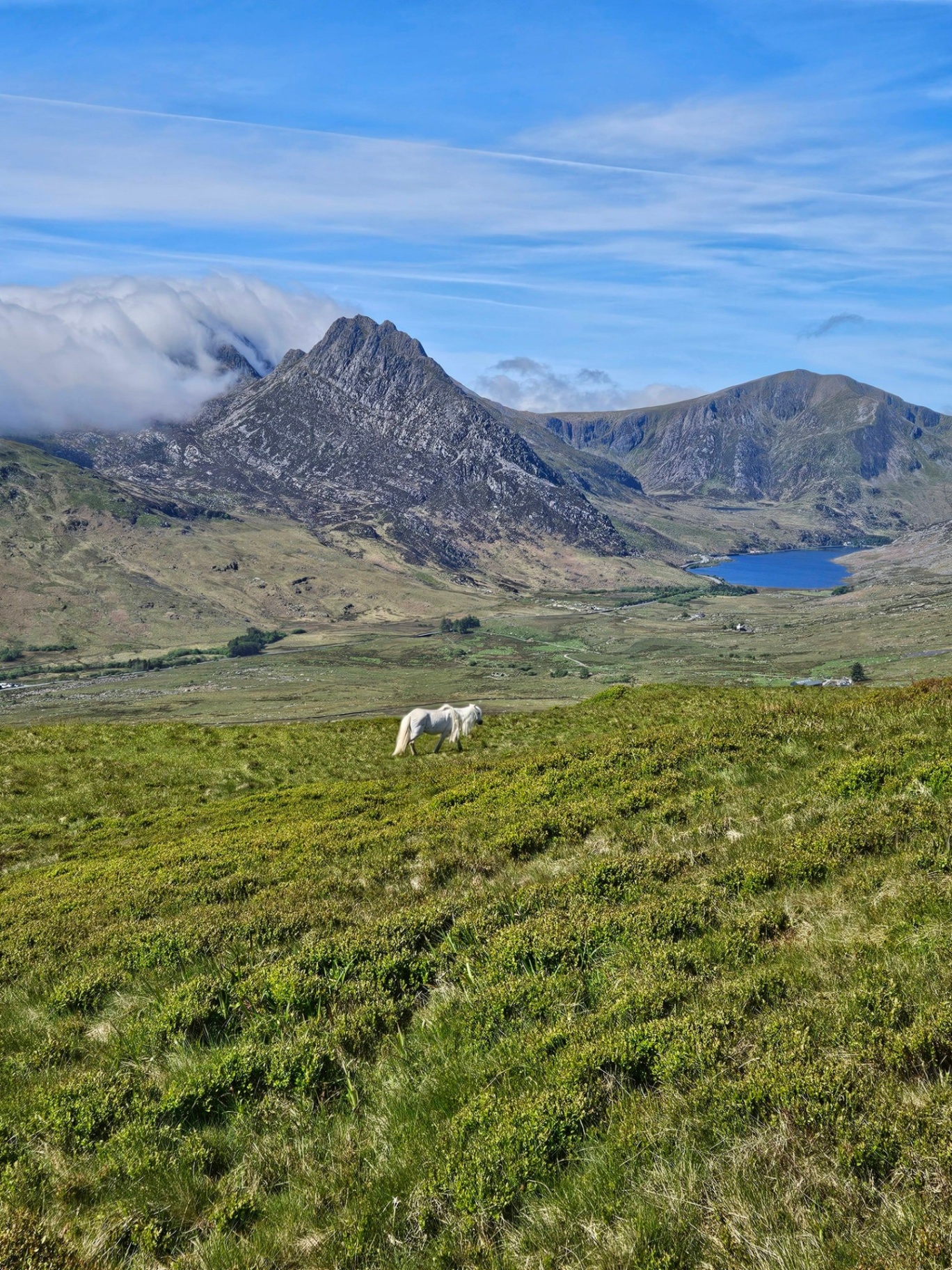 Liverpool → Snowdonia Day Trips